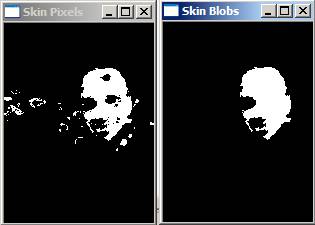 Skin pixels and blobs